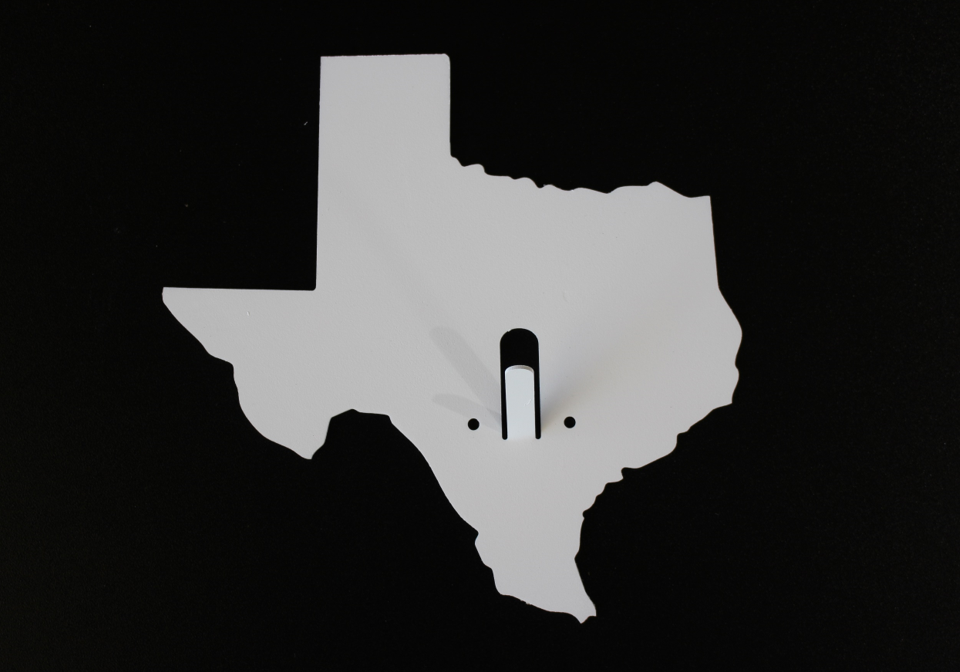 Texas Deer Skull Mount